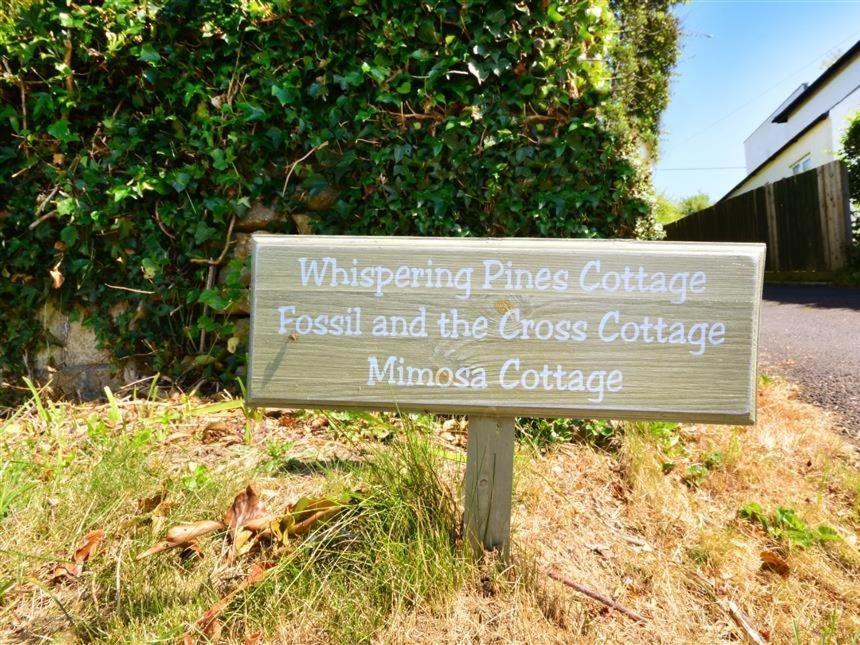 Whispering Pines Cottage Swyre Bagian luar foto